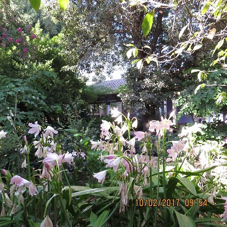 סנטה קרוז Hotel Boutique Quinta Maria מראה חיצוני תמונה