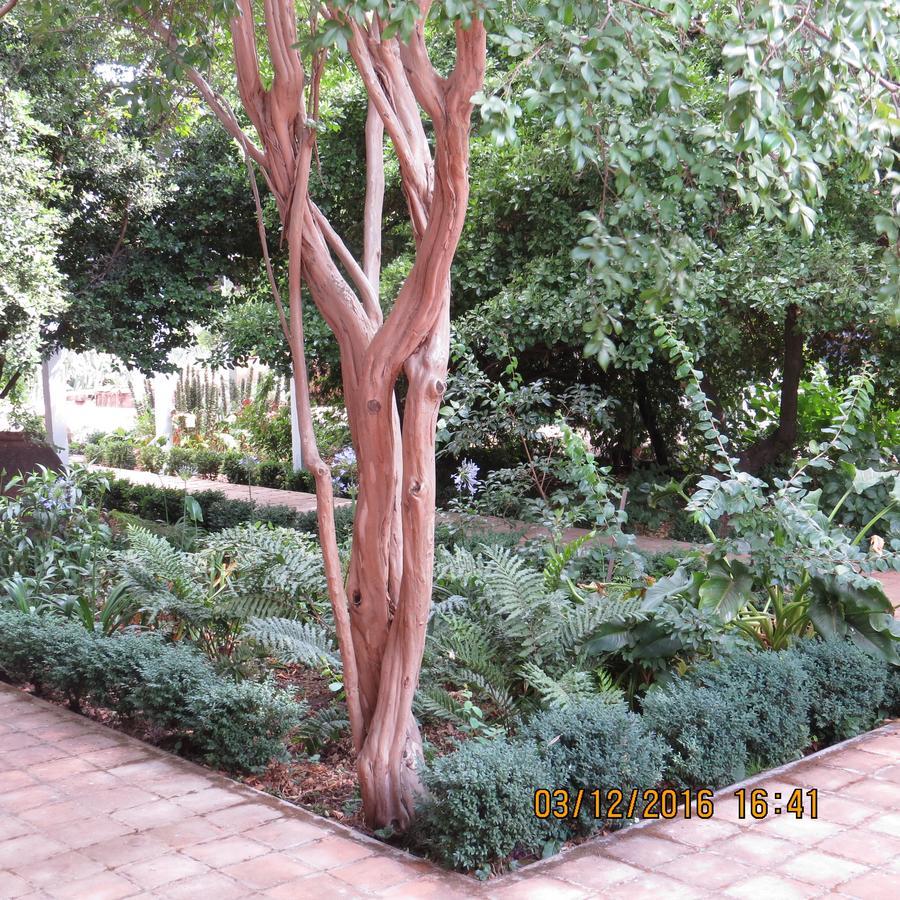 סנטה קרוז Hotel Boutique Quinta Maria מראה חיצוני תמונה