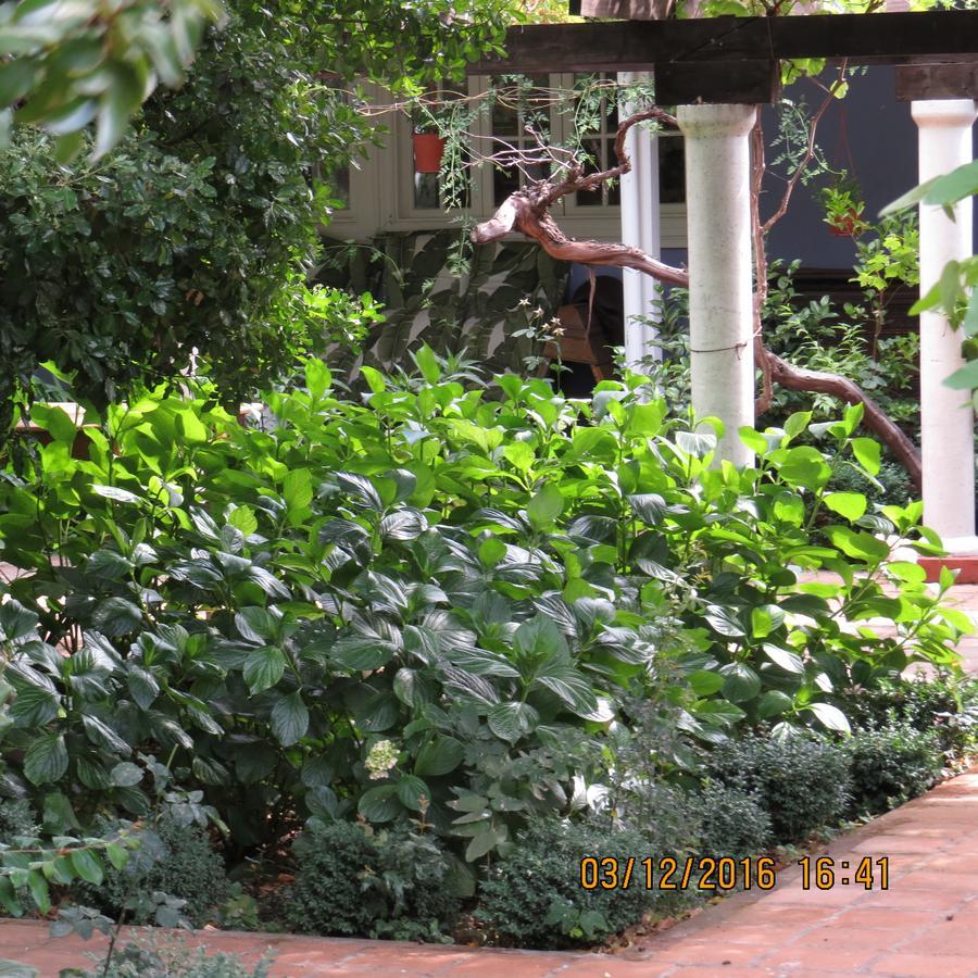 סנטה קרוז Hotel Boutique Quinta Maria מראה חיצוני תמונה