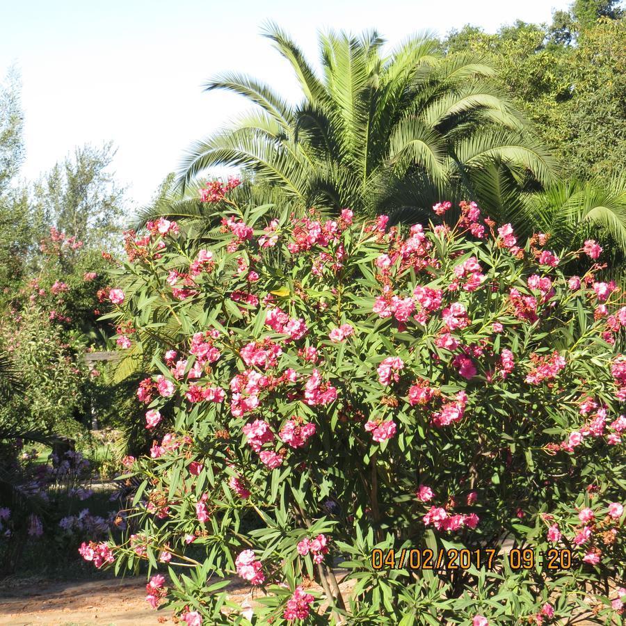 סנטה קרוז Hotel Boutique Quinta Maria מראה חיצוני תמונה
