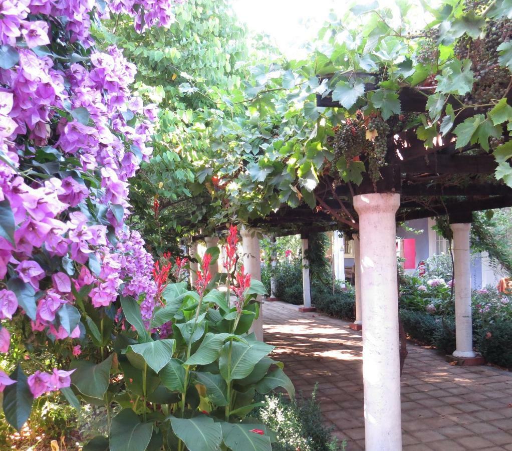 סנטה קרוז Hotel Boutique Quinta Maria מראה חיצוני תמונה